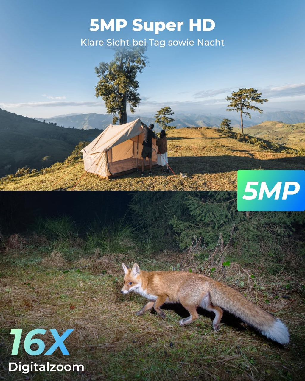 Reolink 3G/4G LTE Überwachungskamera mit SIM-Karte, 5MP 355°/140° PTZ Solar Kamera Outdoor, Farbnachtsicht, Personen/Tiererkennung, Alarmfilterung, Standalone, Go PT Plus+Solarpanel+32GB microSD