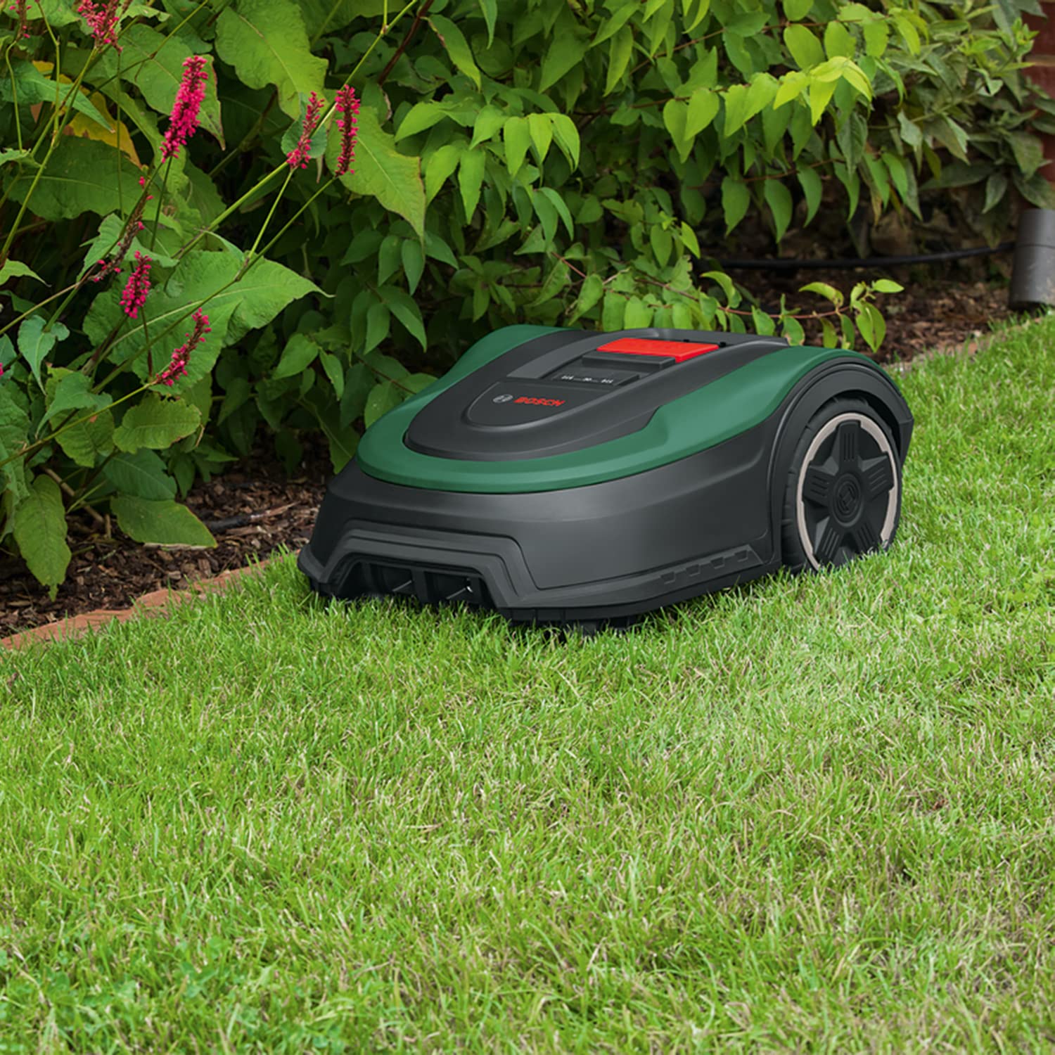 Bosch Home and Garden Indego XS 300 Robot Lawnmower (with Integrated 18 V Battery, Charging Station Included, Cutting Width 19 cm, for Lawns up to 300 m², in Box) Black, Green